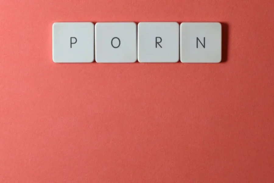En la imagen aparece la palabra porn. Esta imagen pertenece a un artículo que habla acerca de los efecto que tiene en el cerebro ver pornografía