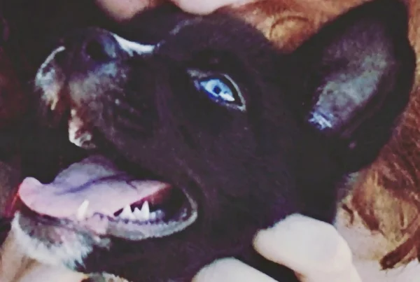 Sandra reflexionando sobre el futuro, el dinero y el paso del tiempo en el trabajo sexual